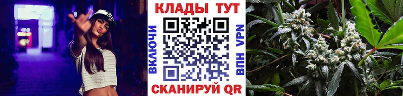 Продажа наркотиков Благовещенск Галлюциногенные грибы  МАРИХУАНА  Меф  ГАШИШ 