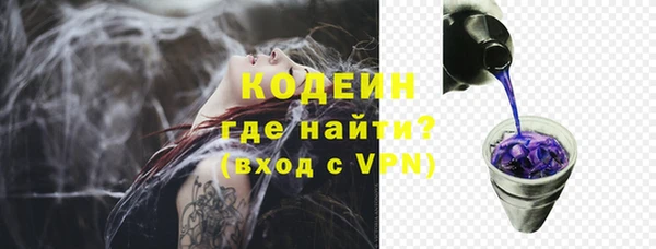 индика Осинники