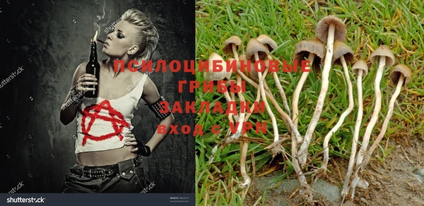 jwh Богданович