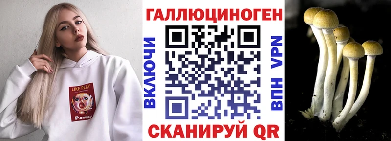 блэк спрут вход  Благовещенск  Галлюциногенные грибы Cubensis 